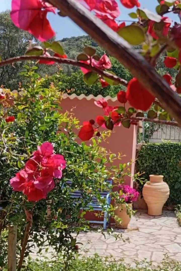 Julietta Suites Argostoli
